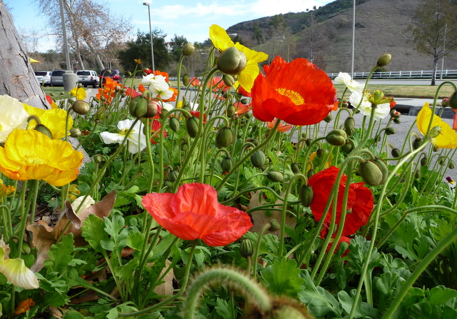 P1010774.JPG