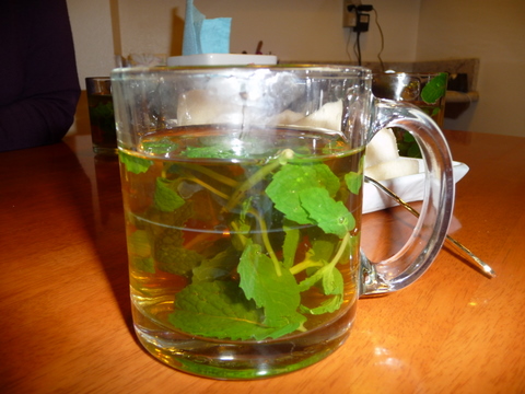 P1010798.JPG