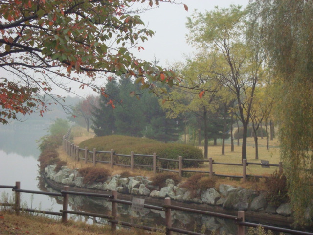 DSC01881.JPG
