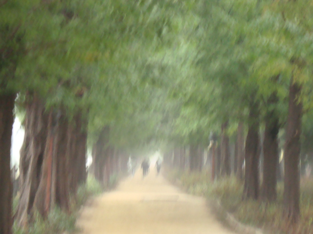 DSC01895.JPG