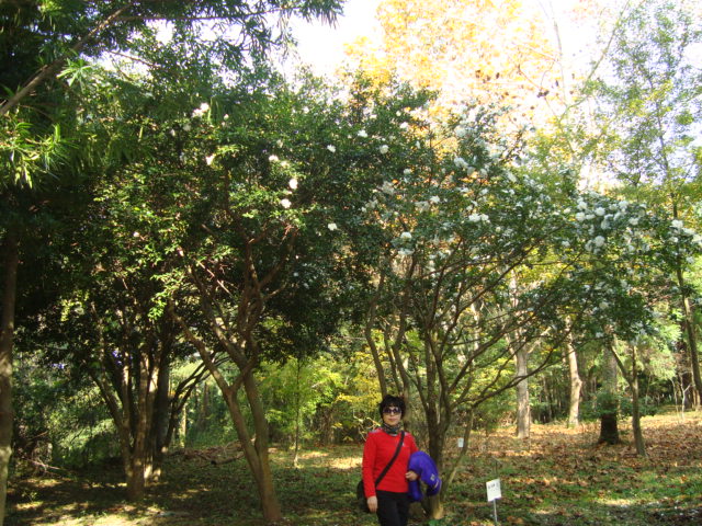 DSC00395.JPG