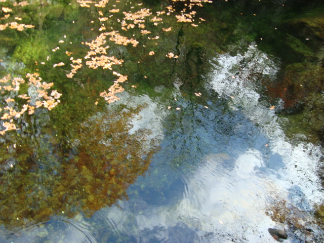 DSC01957.JPG