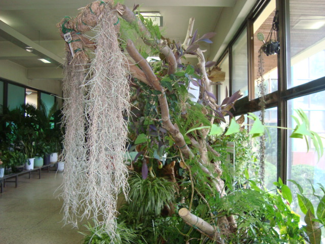 DSC01752.JPG