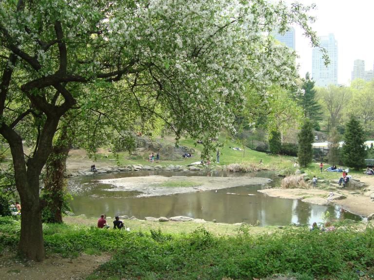 144.JPG