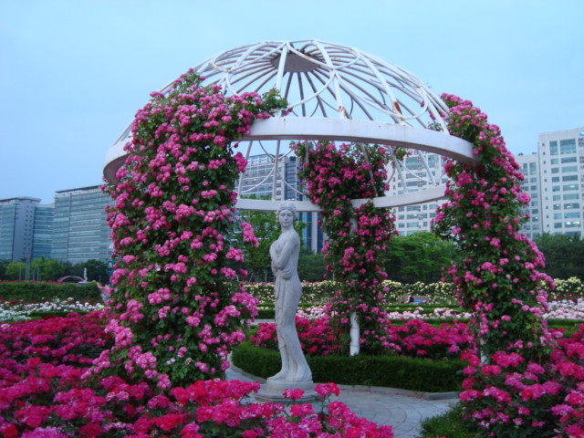 DSC00130.JPG
