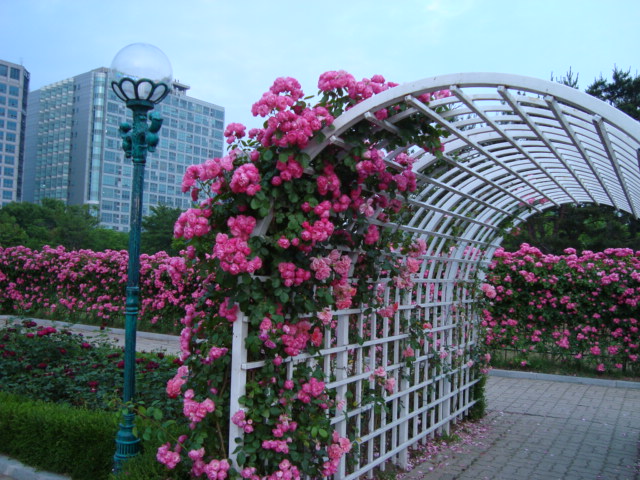 DSC00131.JPG