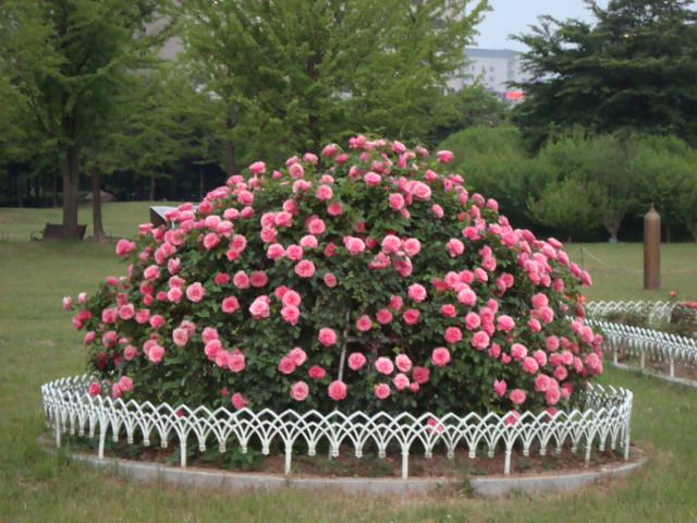 DSC00134.JPG
