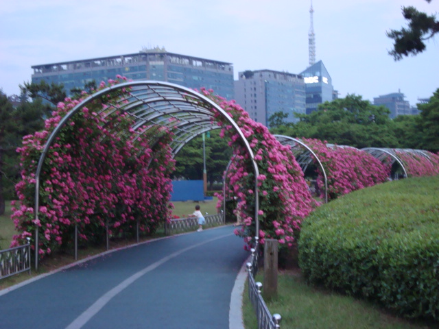 DSC00138.JPG