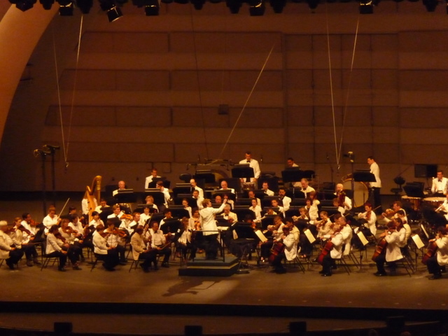 P1000532.JPG