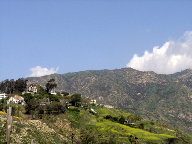 DSC02790.JPG