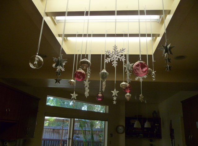 P1010595-1.JPG