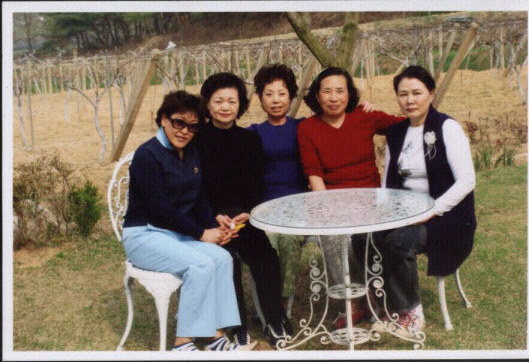 상숙이네포도밭.jpg 상숙이네포도밭.jpg