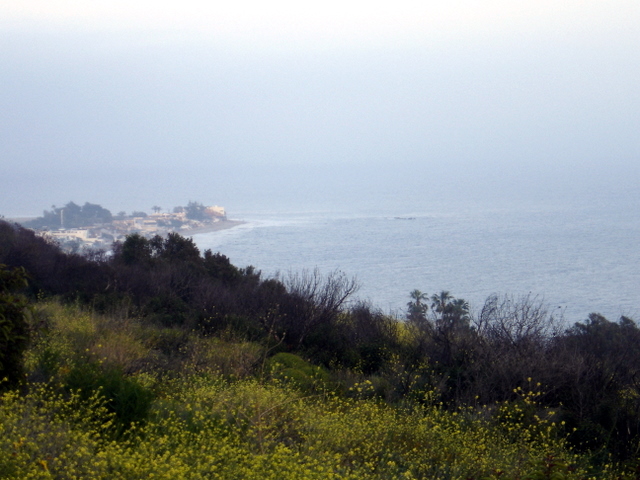 DSC03219.JPG