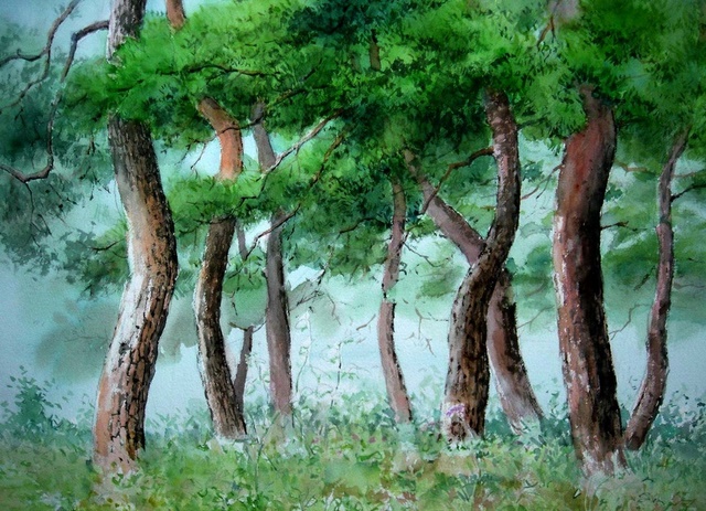 abcd028.jpg