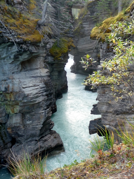 P1120339-1.JPG