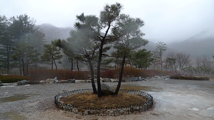 kyung-20100225-38.JPG