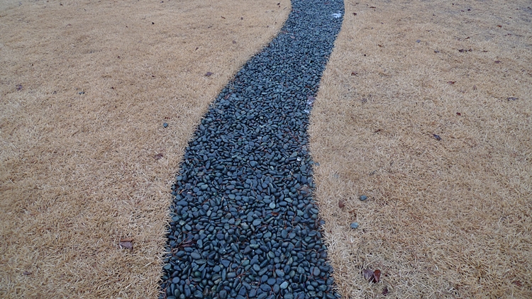 kyung-20100225-46.JPG