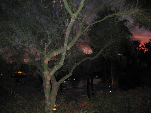 IMG_3046.JPG