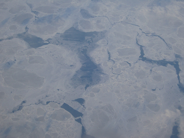 SNC12724.jpg SNC12724.jpg