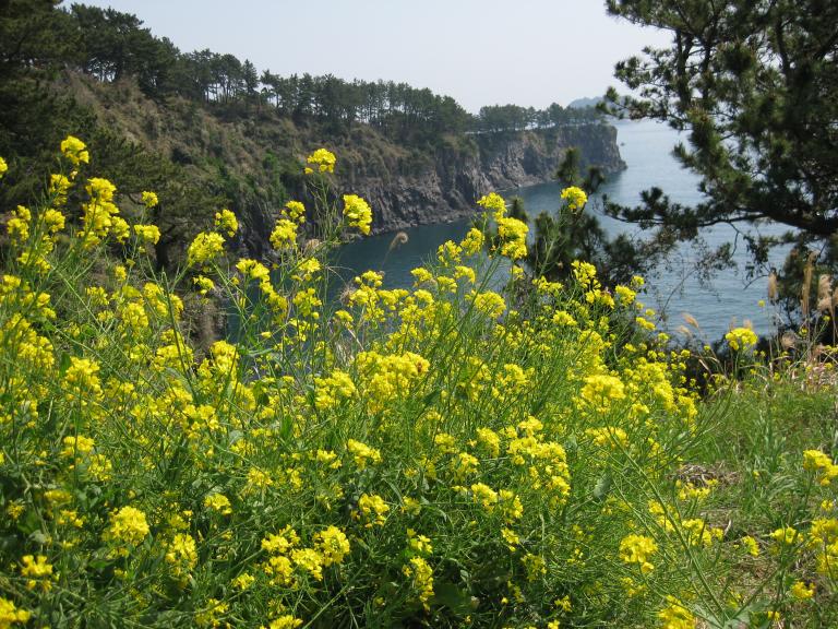 사진 041.jpg