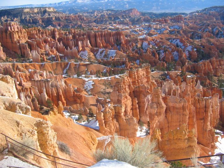 IMG_3739.JPG