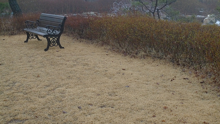 kyung-20100225-89.JPG