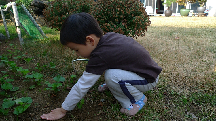 20111112-006.JPG