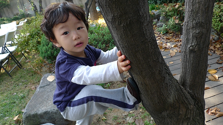 20111112-020.JPG
