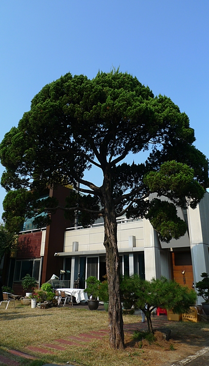 20111112-005.JPG