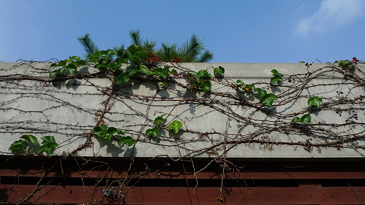 20111112-023.JPG
