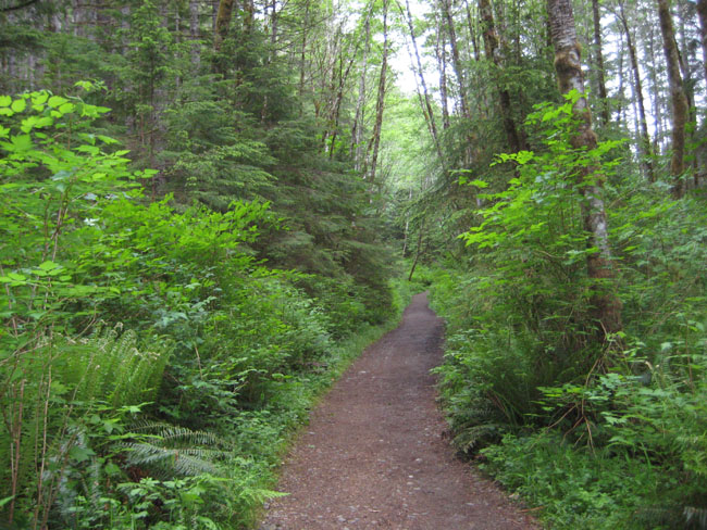 Horne lake cave 2.jpg Horne lake cave 2.jpg