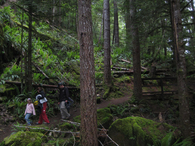 Horne lake cave 3.jpg Horne lake cave 3.jpg