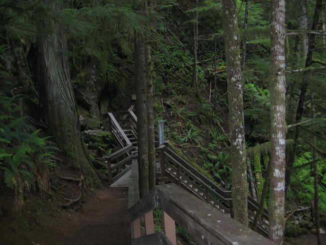 Horne lake cave 4.jpg Horne lake cave 4.jpg