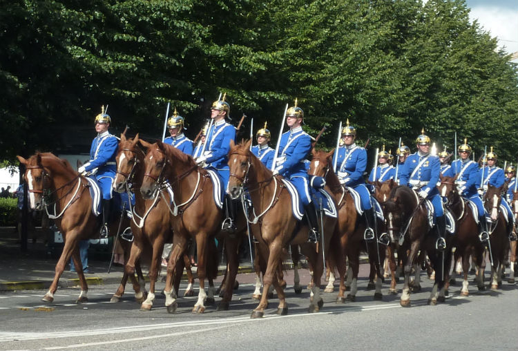 P1060698_copy.jpg STHM Queens Guard.jpg