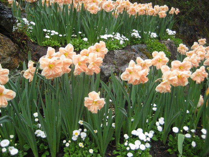 IMG_0065 b.jpg