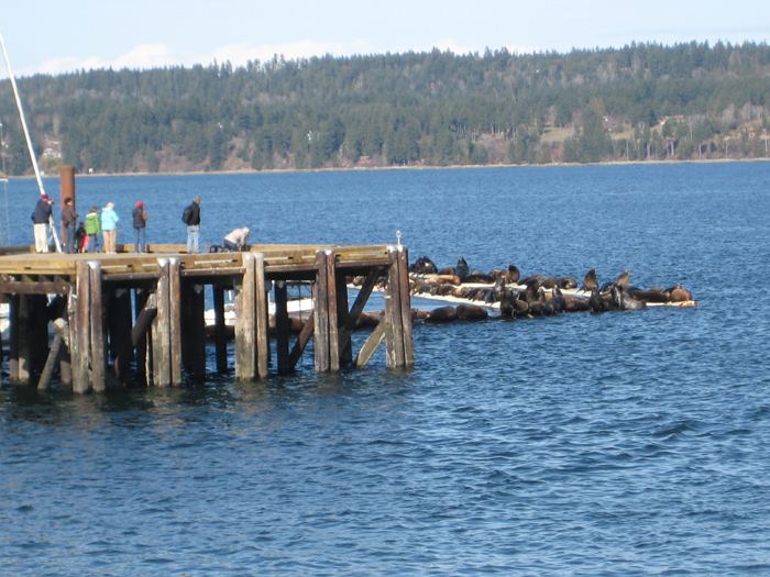Mar10 09 140 a.jpg