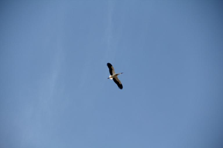 Segovia´s Himmel.JPG