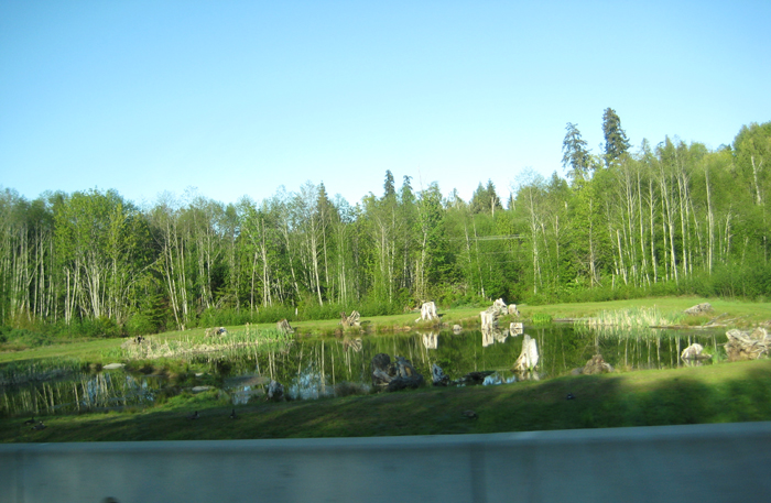 May8 09 040 a.jpg