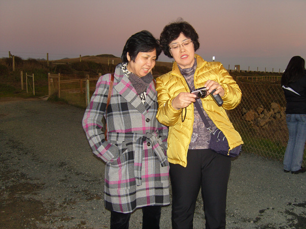 SNC12589.jpg SNC12589.jpg