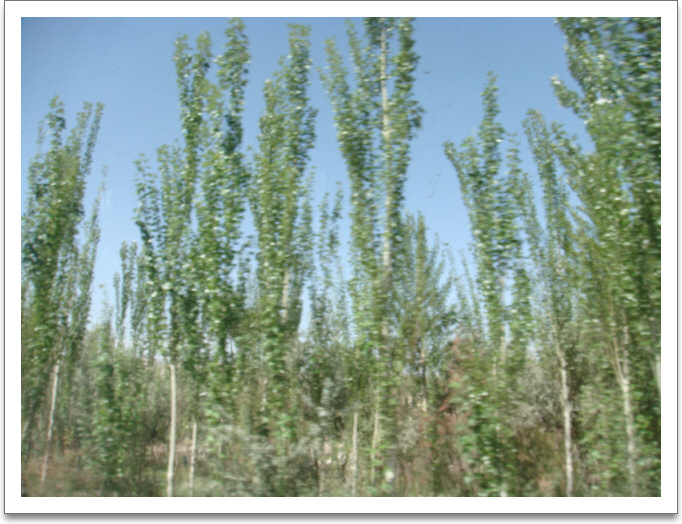 aszDSC02170.JPG