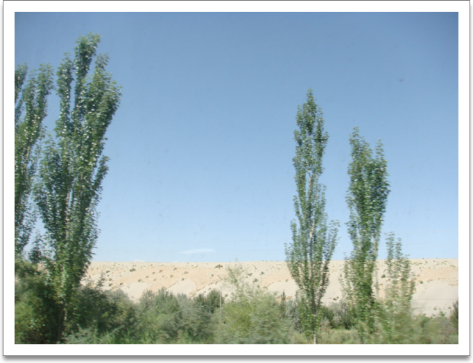 aszDSC02171.JPG