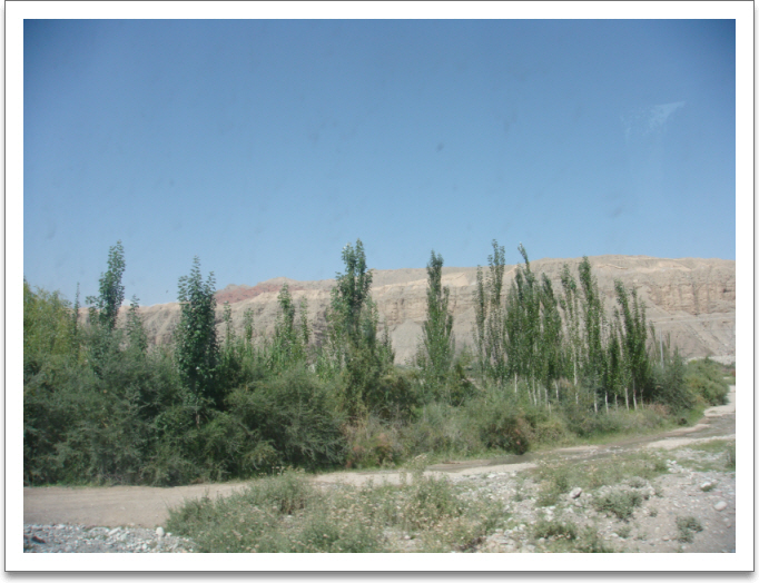 aszDSC02173.JPG