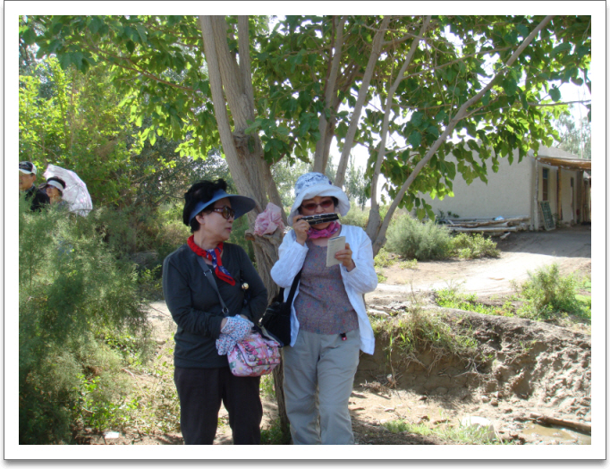 aszDSC02010.JPG