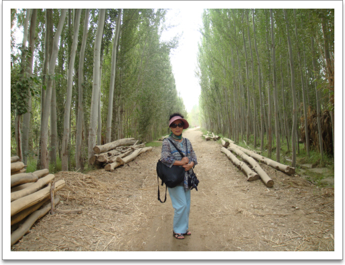 aszDSC02124.JPG