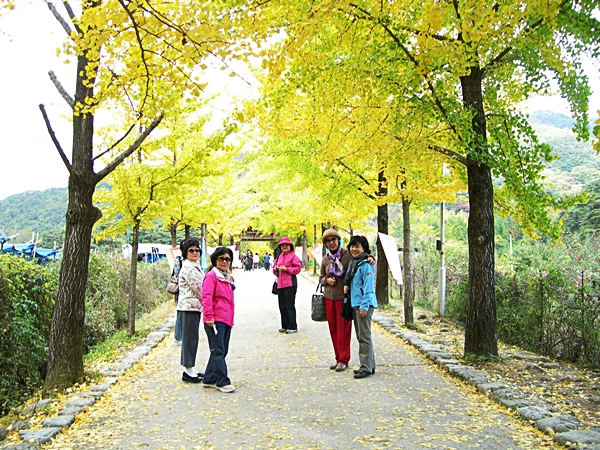 DSCN2621.JPG