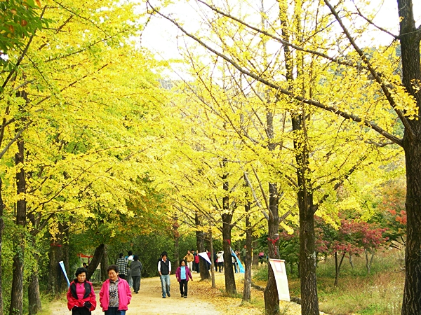 DSCN2628.JPG