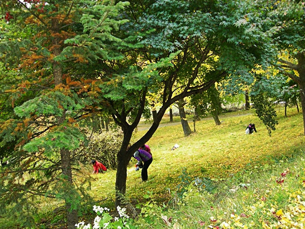 DSCN2629.JPG