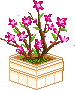 color_08.gif