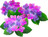 color_flower106.gif