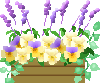 color_flower125.gif